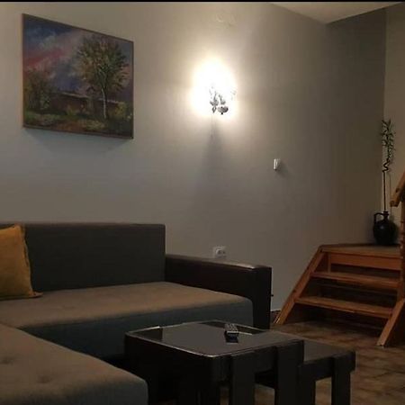 Beocin Kuca Ribarev San 빌라 외부 사진