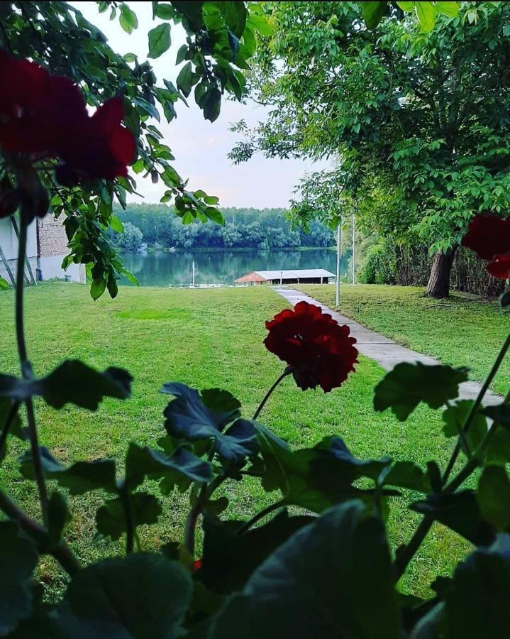 Beocin Kuca Ribarev San 빌라 외부 사진