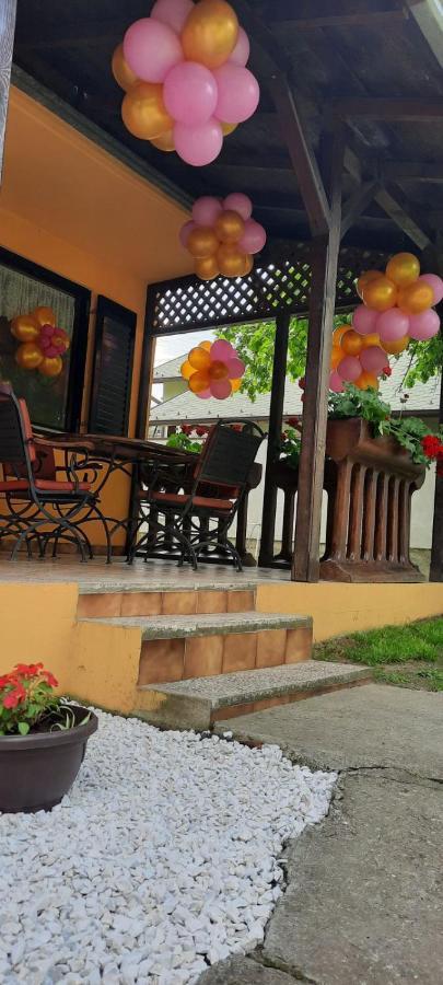 Beocin Kuca Ribarev San 빌라 외부 사진